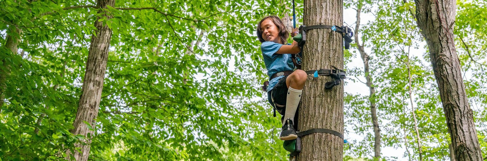 A young boy climbs a tree in the Climbing Forest