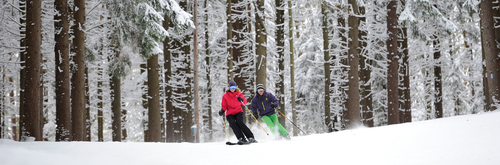 Couple skiing together on trail with snow covered trees