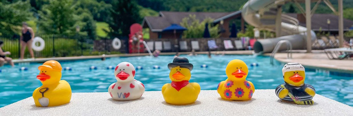 Five rubber ducks on a diving board over the pool.