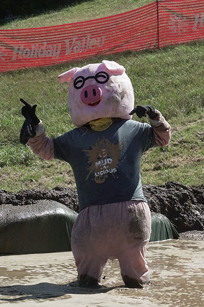 Mudslide Pig in mudpuddle