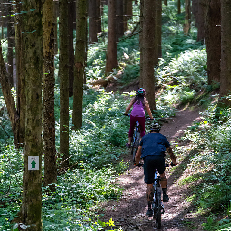 Two mountain bikers on a wooded trail