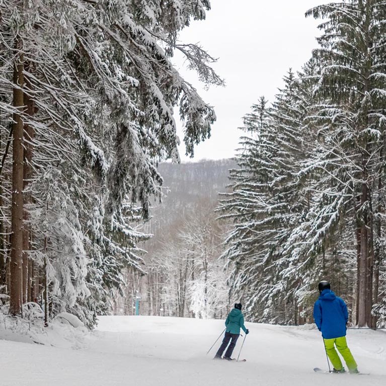 Two people skiing amongst snow covered trees.